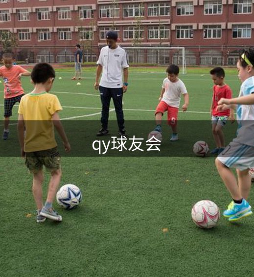 公司历程
